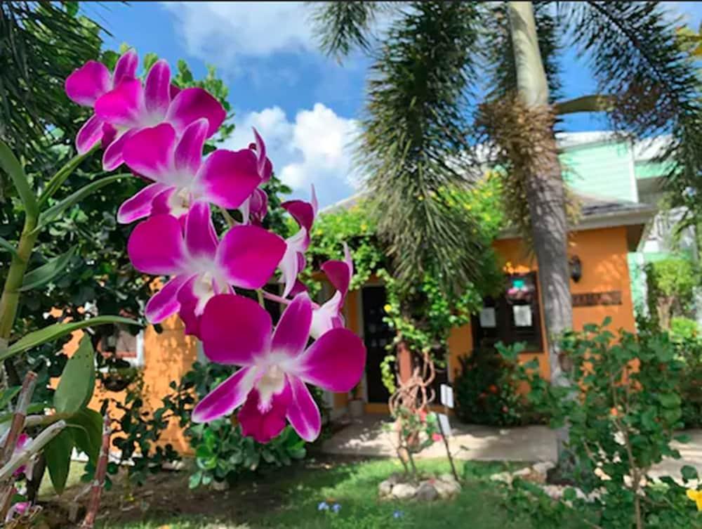 Buccaneer Beach Club Dickenson Bay Exteriör bild