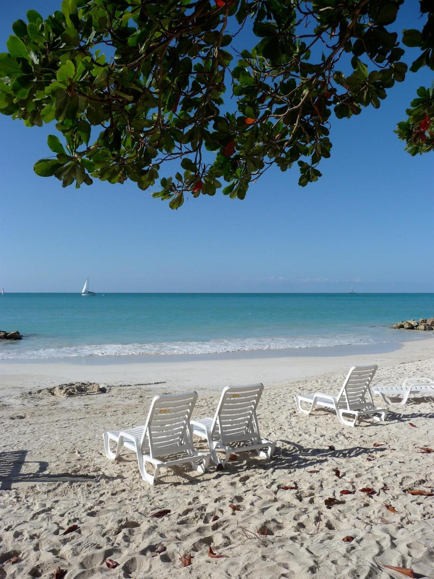 Buccaneer Beach Club Dickenson Bay Exteriör bild