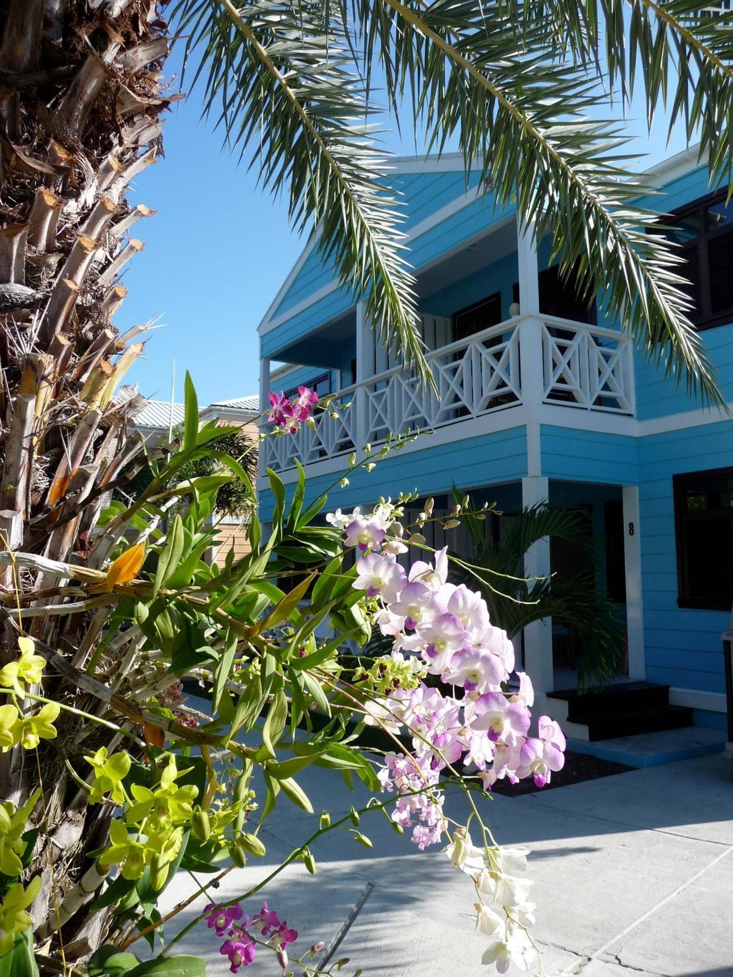 Buccaneer Beach Club Dickenson Bay Exteriör bild