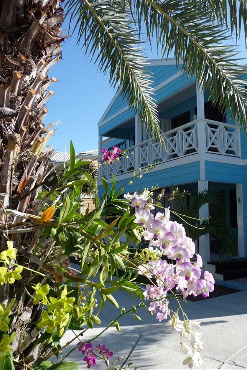 Buccaneer Beach Club Dickenson Bay Exteriör bild