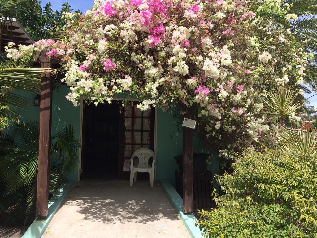 Buccaneer Beach Club Dickenson Bay Exteriör bild