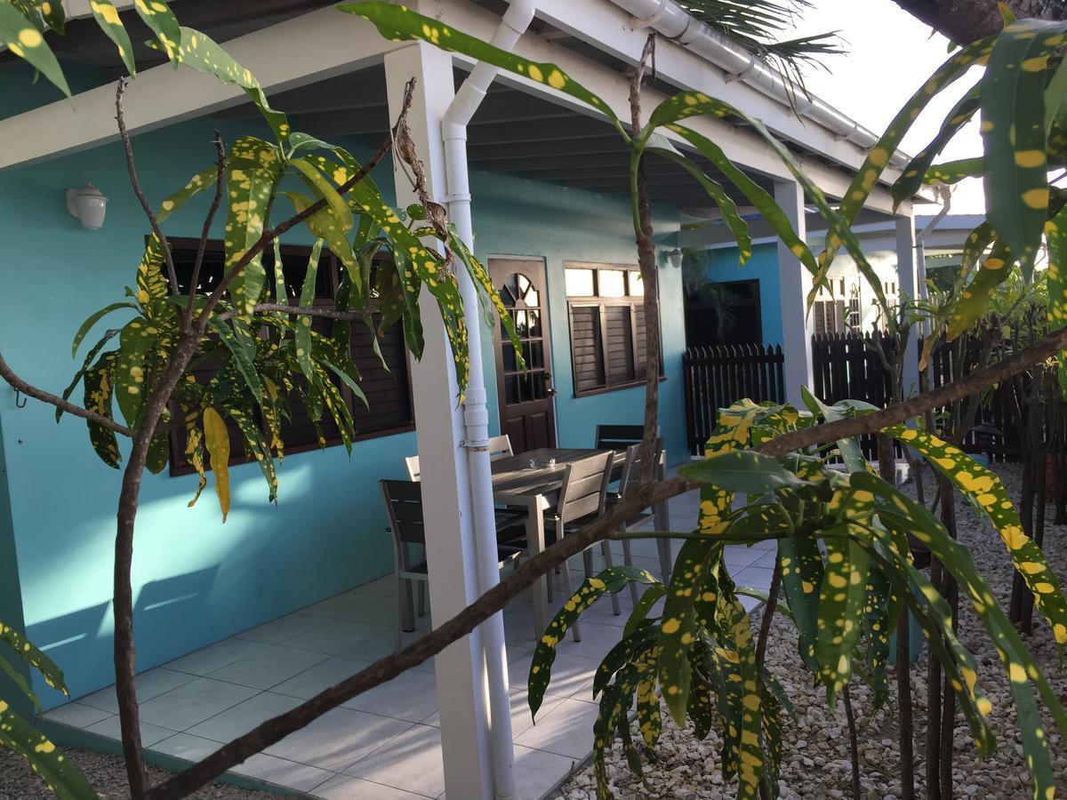 Buccaneer Beach Club Dickenson Bay Exteriör bild