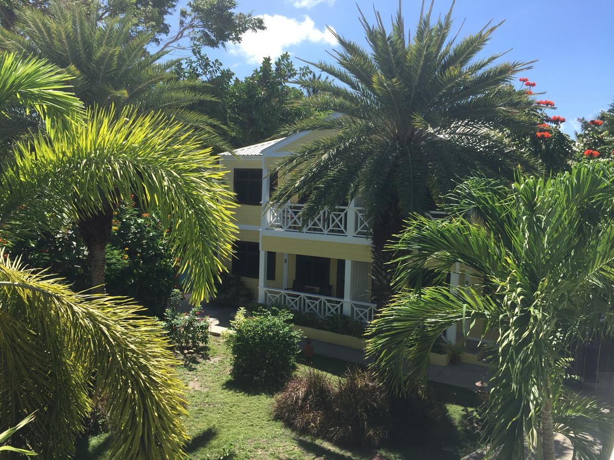 Buccaneer Beach Club Dickenson Bay Exteriör bild