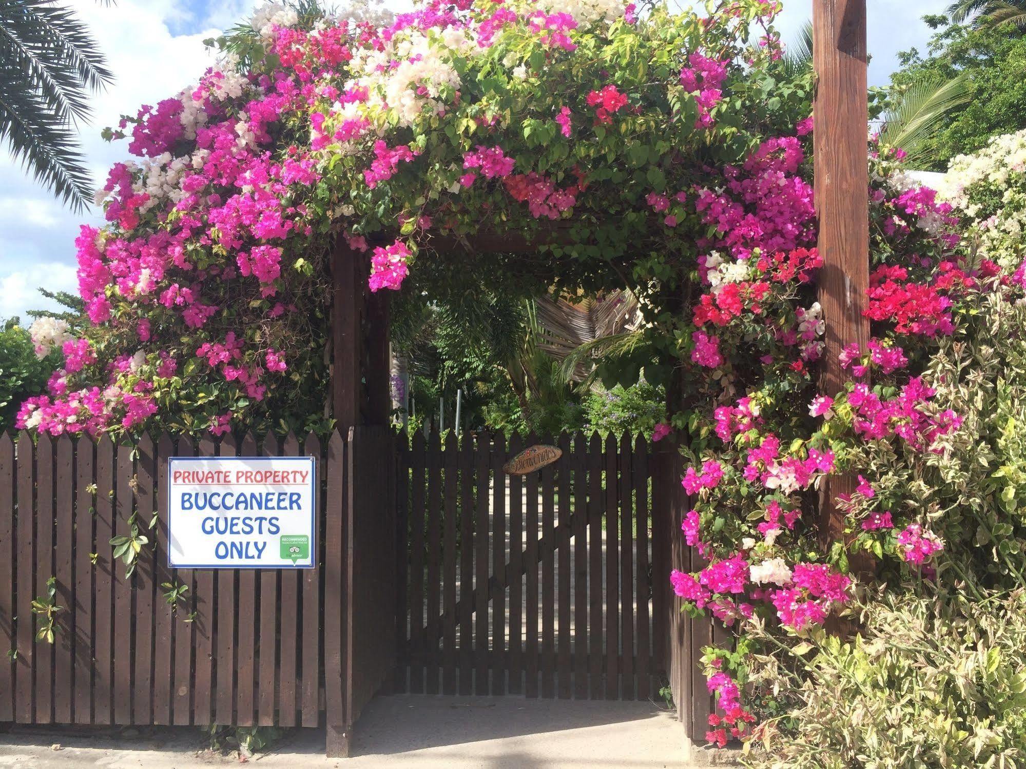 Buccaneer Beach Club Dickenson Bay Exteriör bild