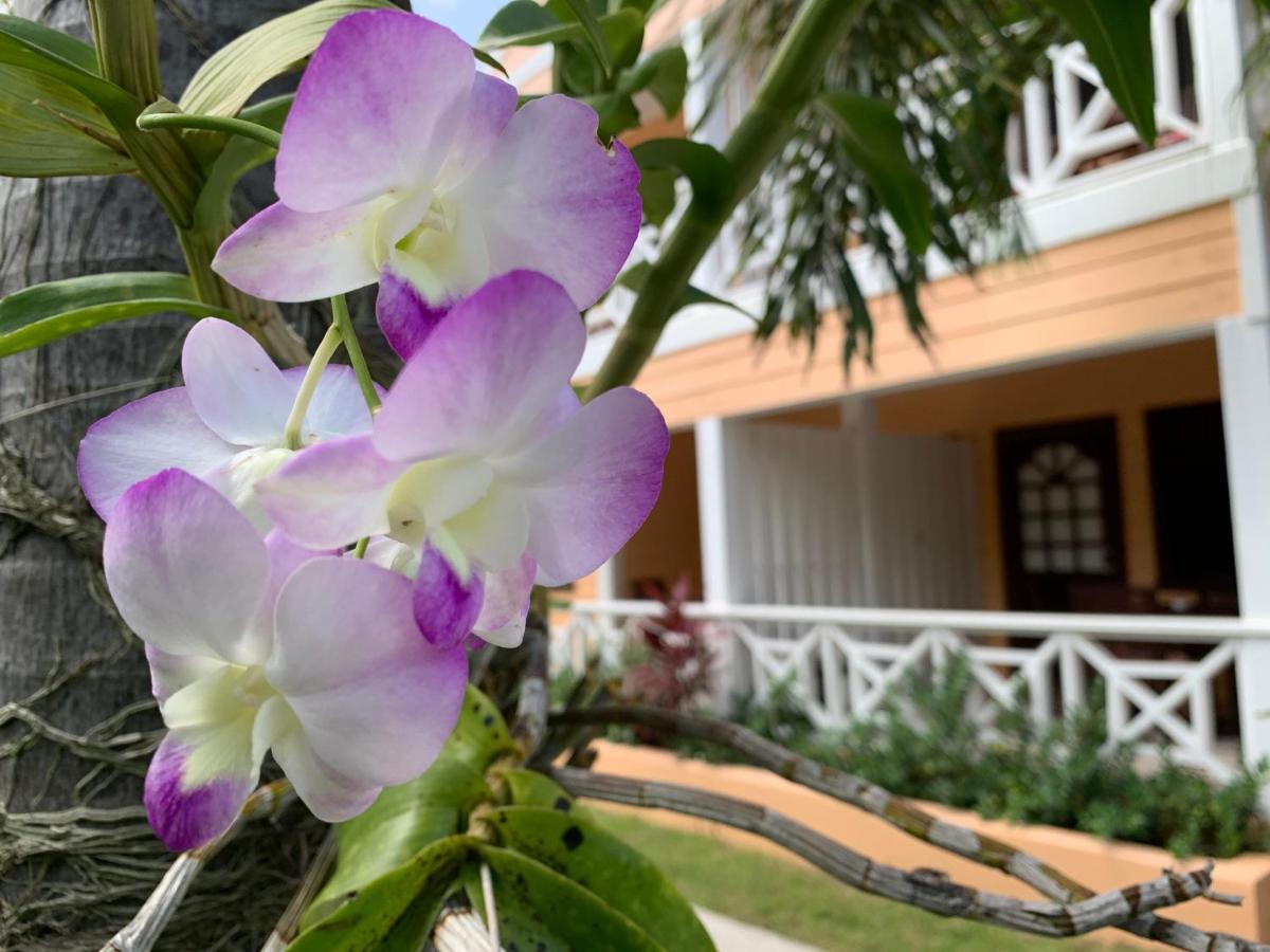 Buccaneer Beach Club Dickenson Bay Exteriör bild